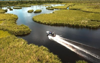 airboat and rajun cajun tours_2.4.1